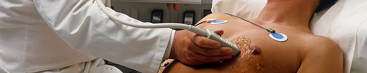 УЗИ сердца в городе Красногорск